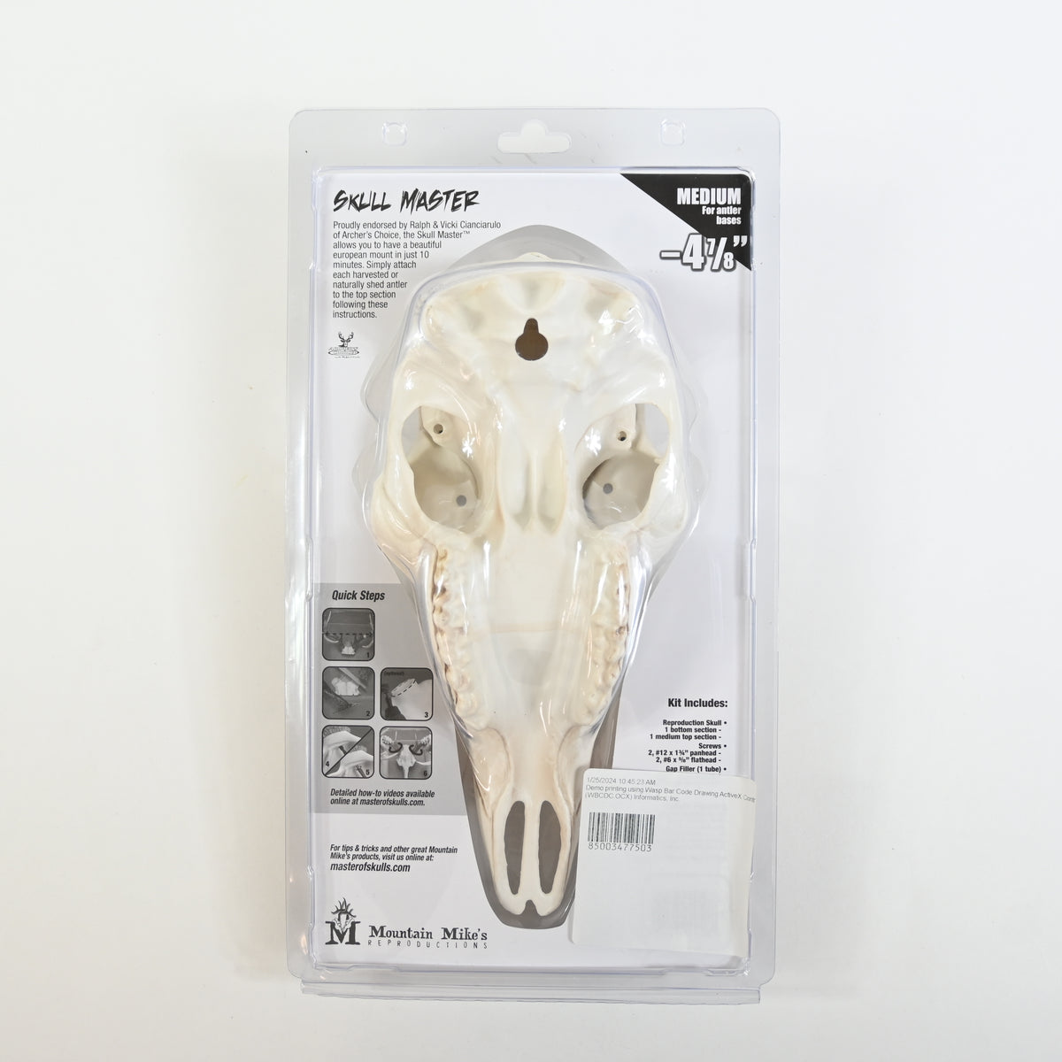 Skull Master Deer European Mounting Kit Medium Taxidermy Display - New