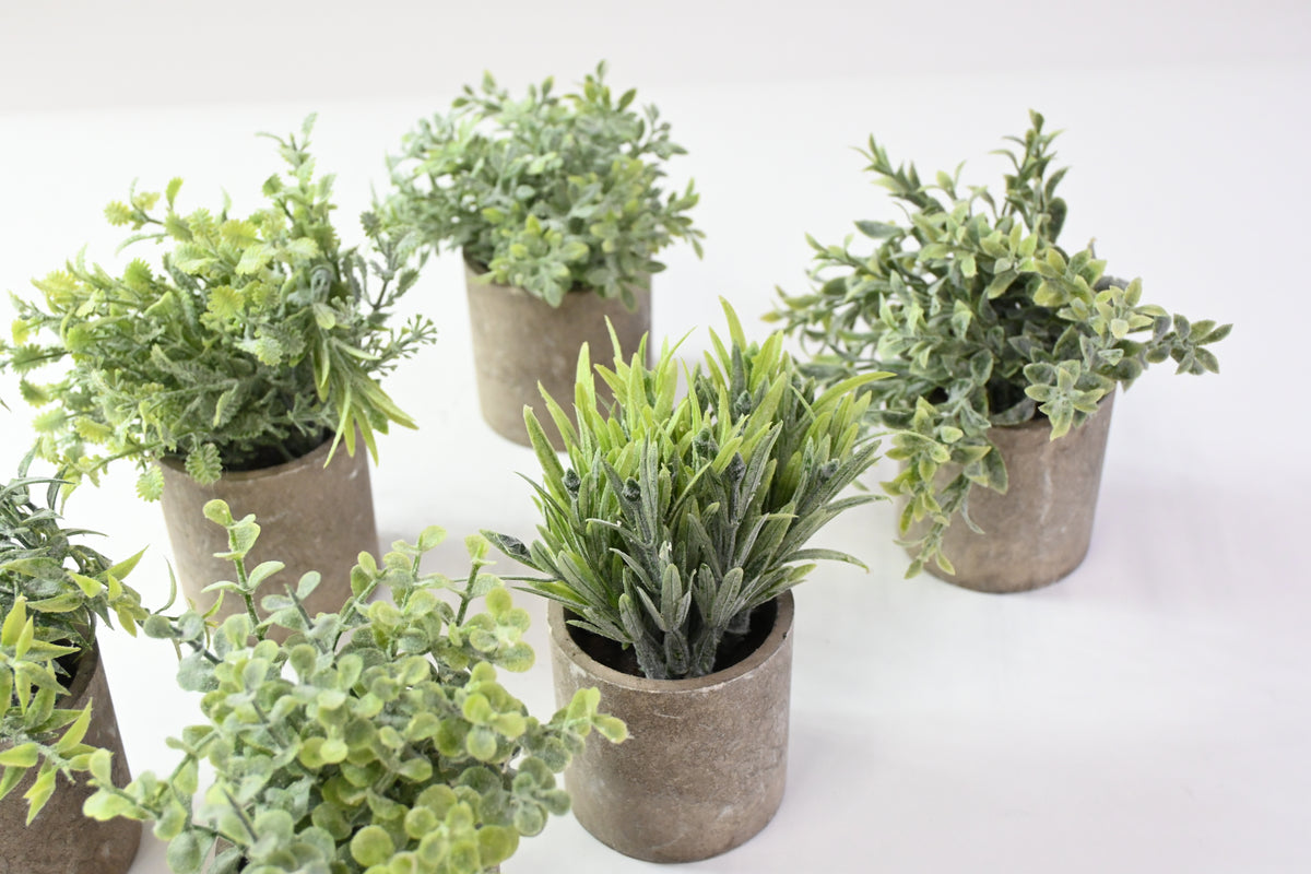 6 Different Fake Plants in Artificial Stone Pots