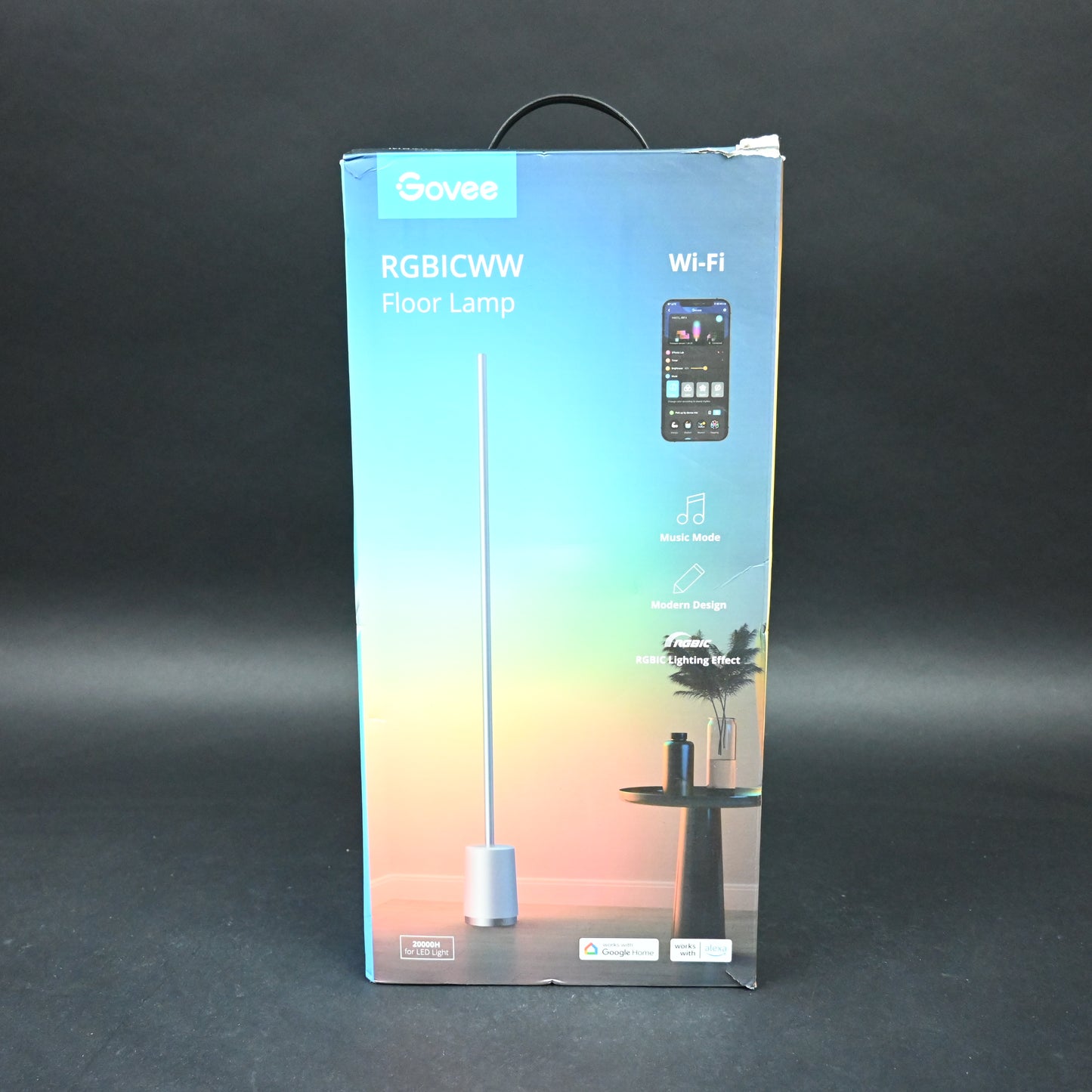 Govee RGBIC Floor Lamp