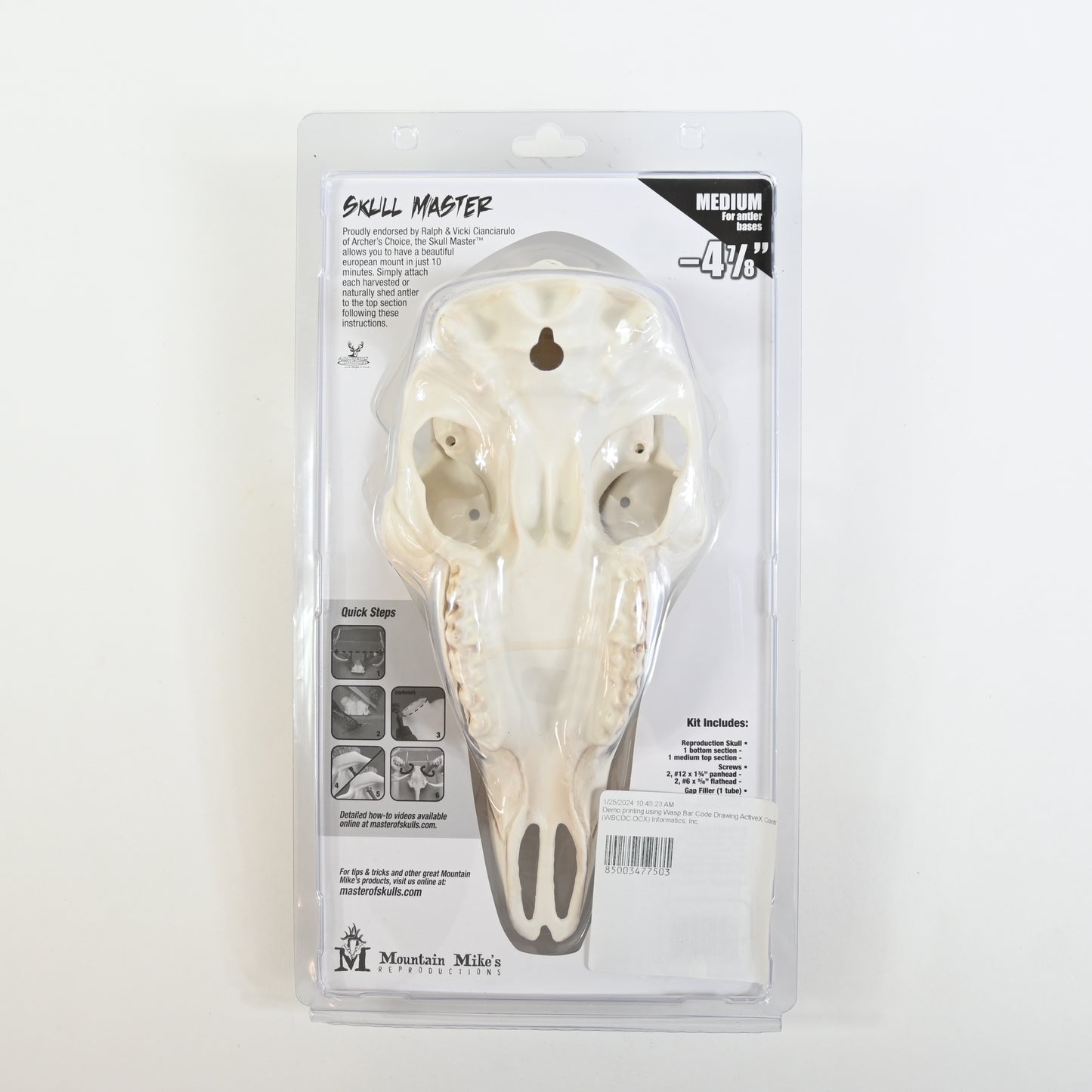 Skull Master Deer European Mounting Kit Medium Taxidermy Display - New