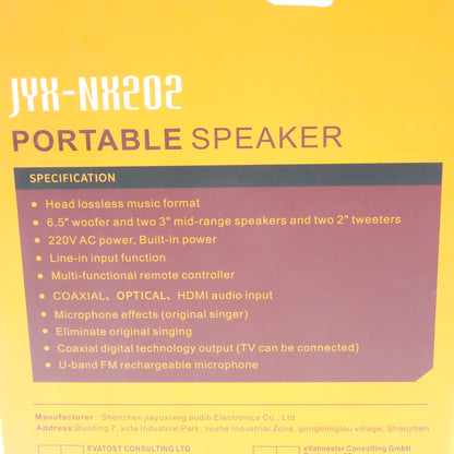 JYX Karaoke Machine (Model NX202) Karaoke Machine with 2 Wireless Microphones