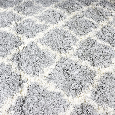 Modern Trellis Shag Area Rug – 3'3" x 4'7" Durable Polypropylene Accent Rug, G