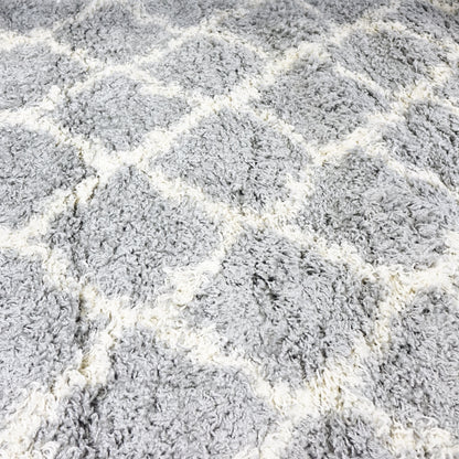 Modern Trellis Shag Area Rug – 3'3" x 4'7" Durable Polypropylene Accent Rug, G