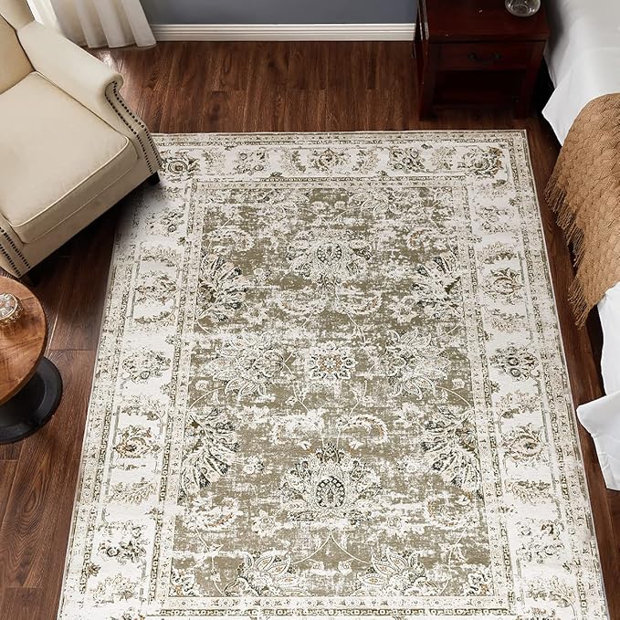 jinchan Area Rug 4x6 Persian Rug