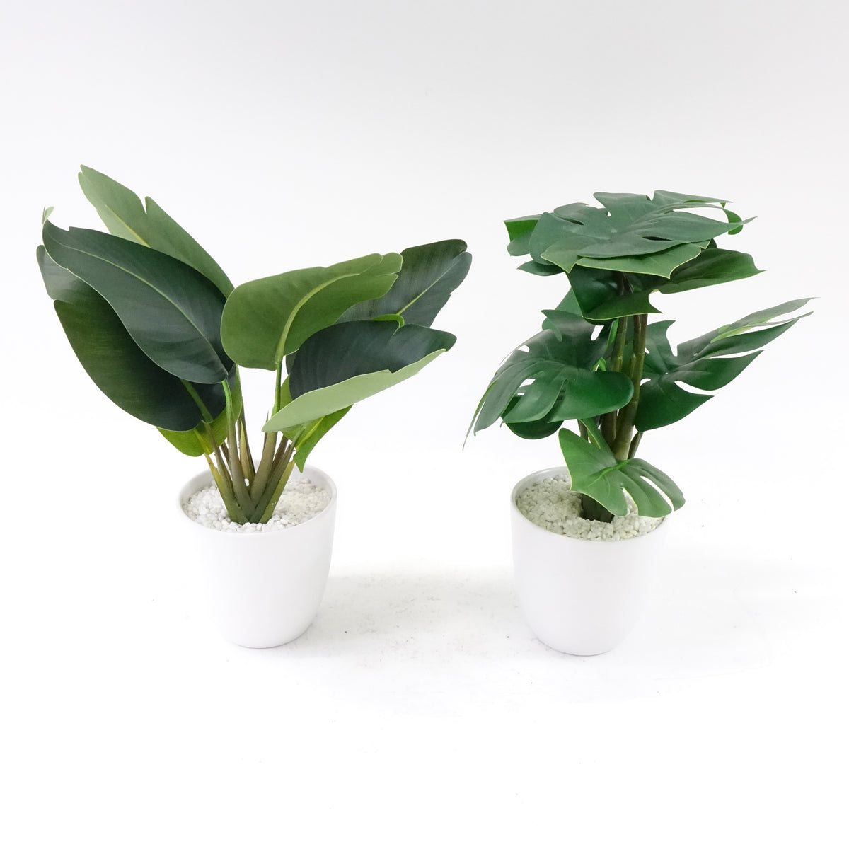 16''Faux Bird of Paradise Plant and Fake Monstera Deliciosa Plant, 2 Pack