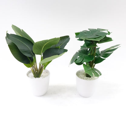16''Faux Bird of Paradise Plant and Fake Monstera Deliciosa Plant, 2 Pack