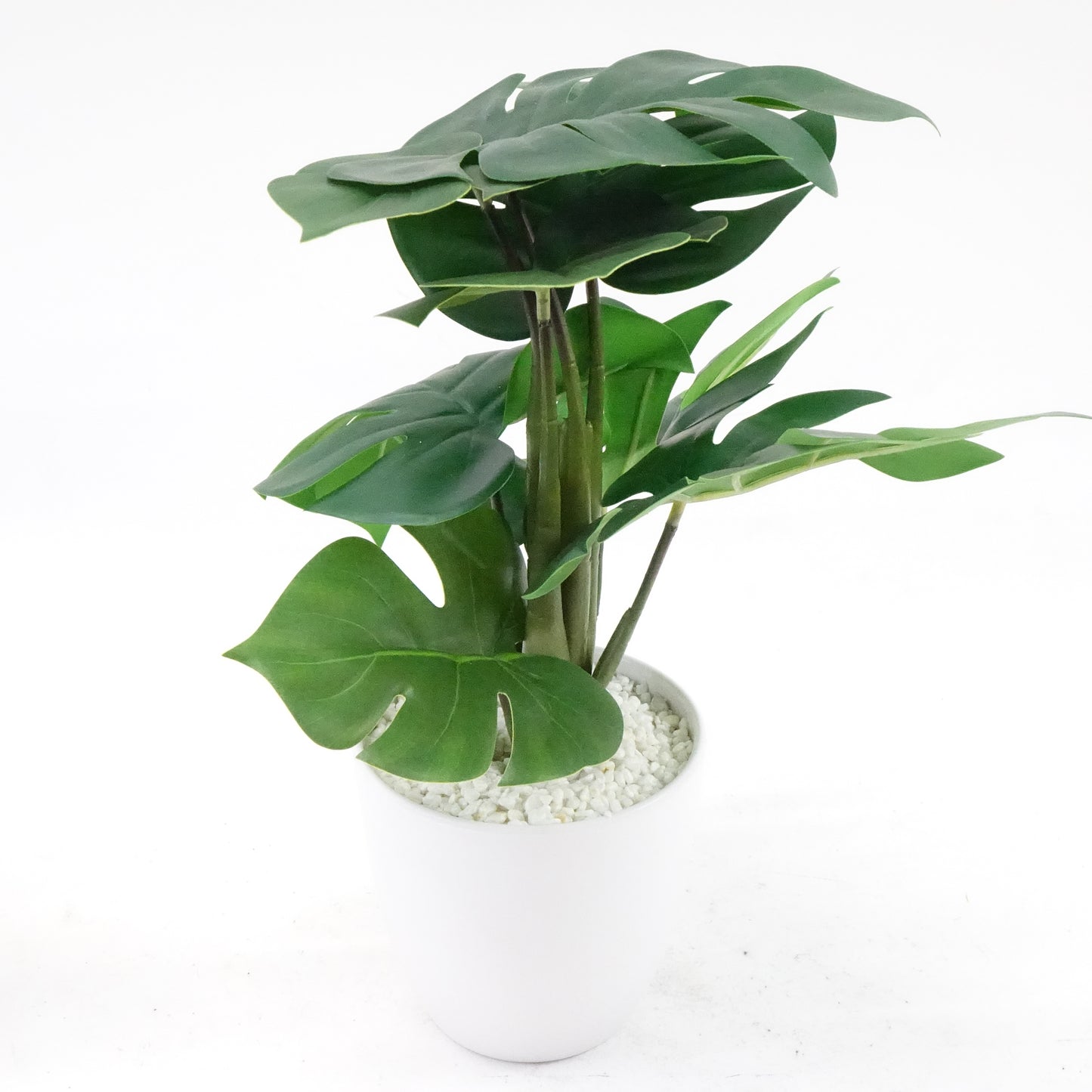 16''Faux Bird of Paradise Plant and Fake Monstera Deliciosa Plant, 2 Pack