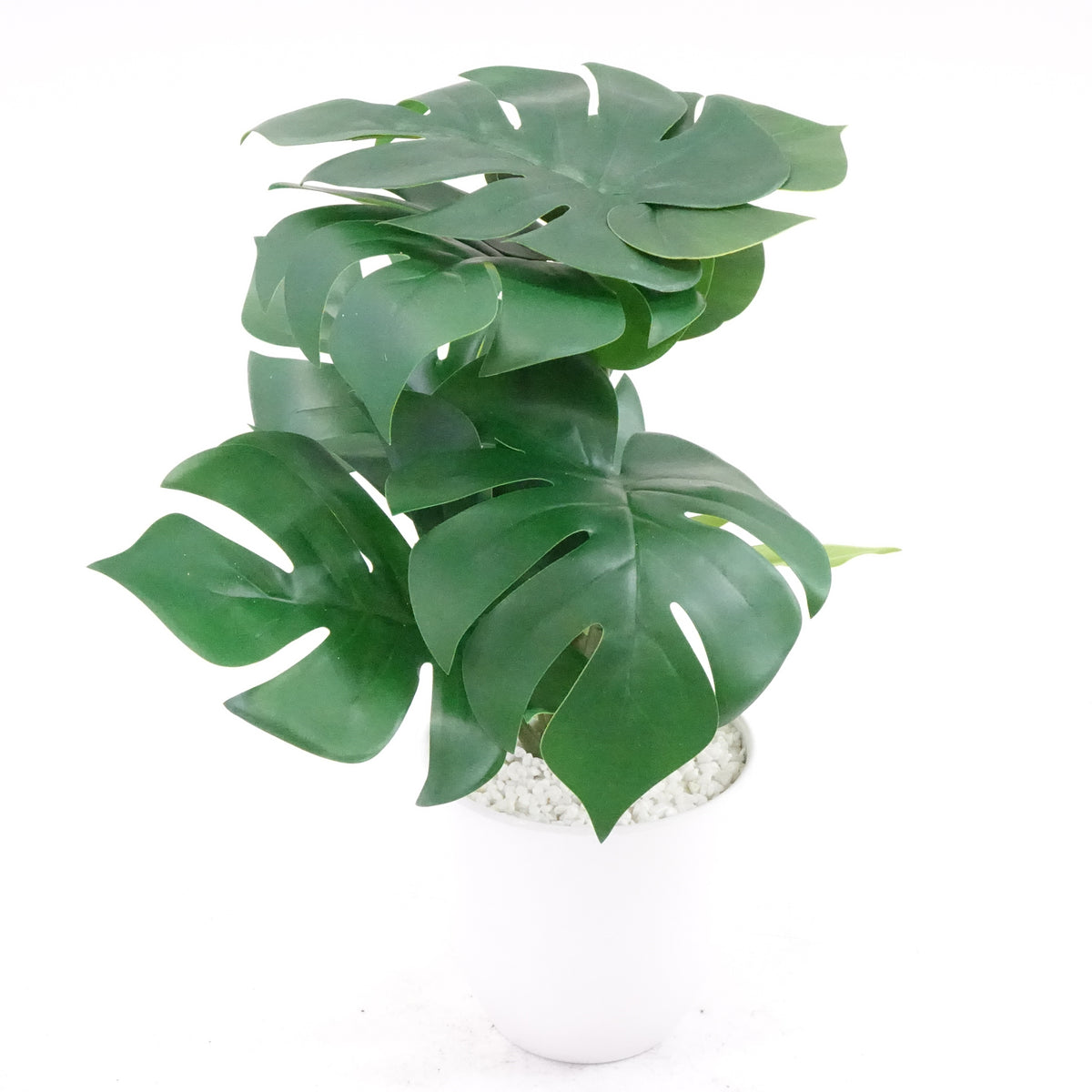 16''Faux Bird of Paradise Plant and Fake Monstera Deliciosa Plant, 2 Pack