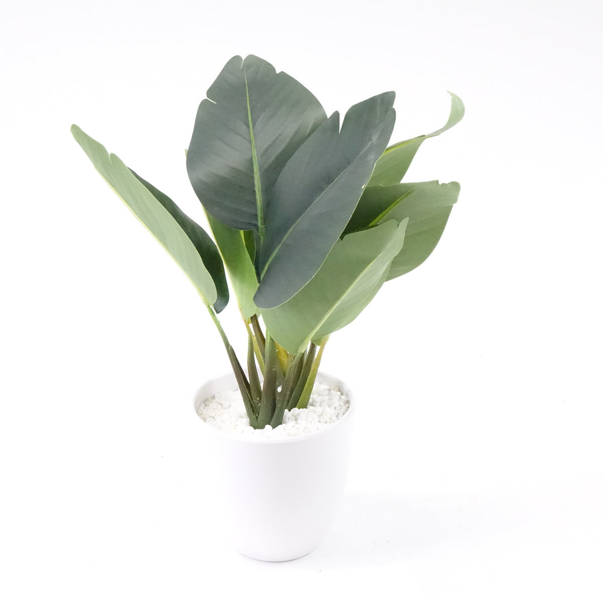 16''Faux Bird of Paradise Plant and Fake Monstera Deliciosa Plant, 2 Pack