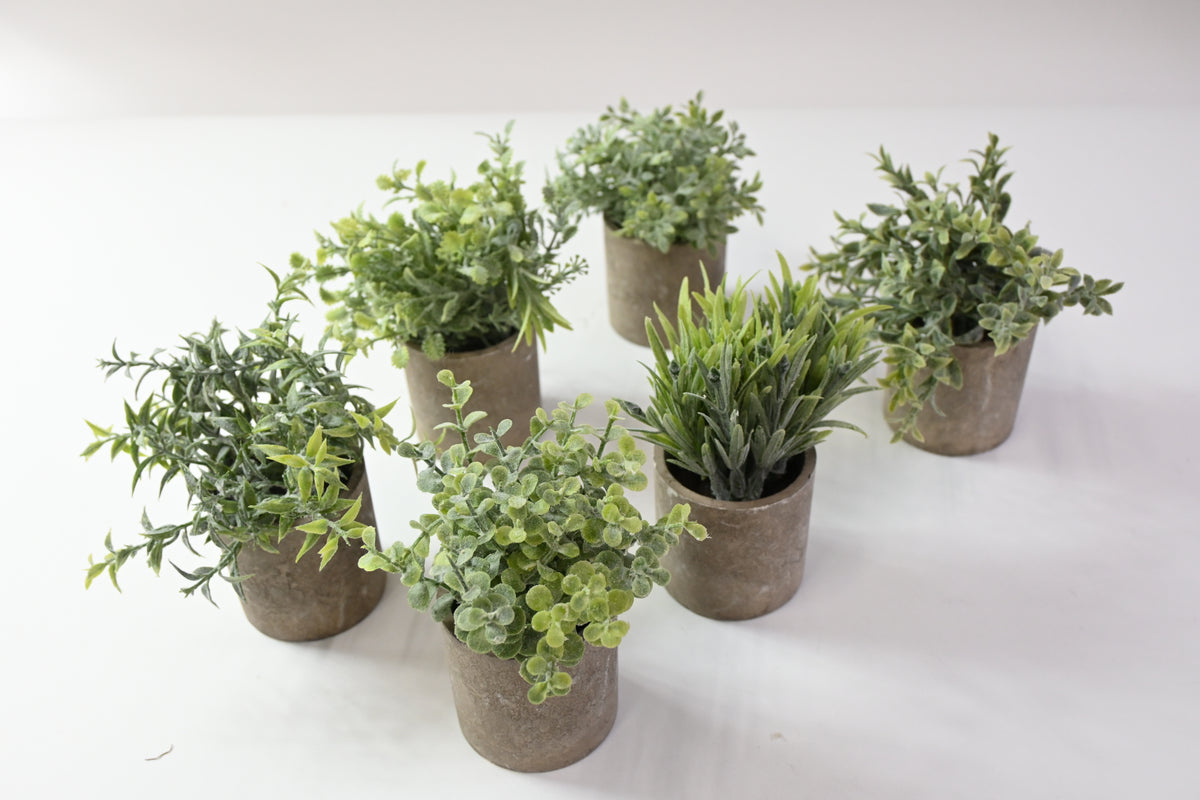 6 Different Fake Plants in Artificial Stone Pots