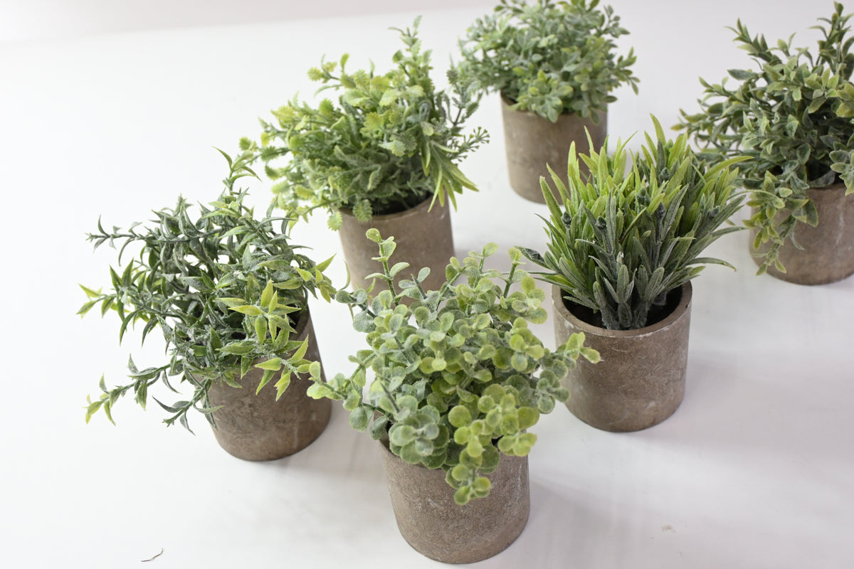 6 Different Fake Plants in Artificial Stone Pots