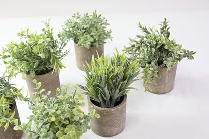 6 Different Fake Plants in Artificial Stone Pots